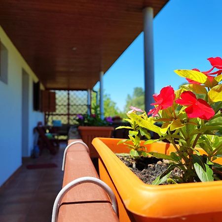 Apartman Dunav Aljmaš 外观 照片