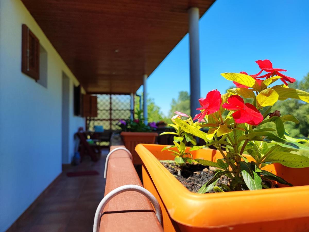Apartman Dunav Aljmaš 外观 照片